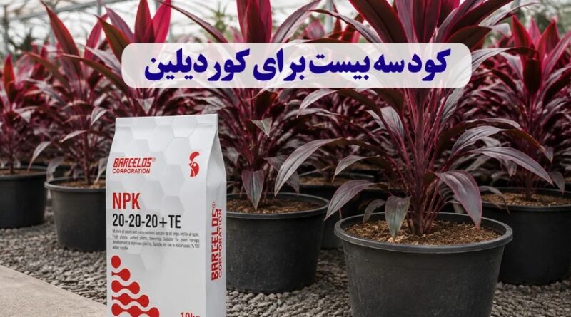 کود سه بیست برای کوردیلین
