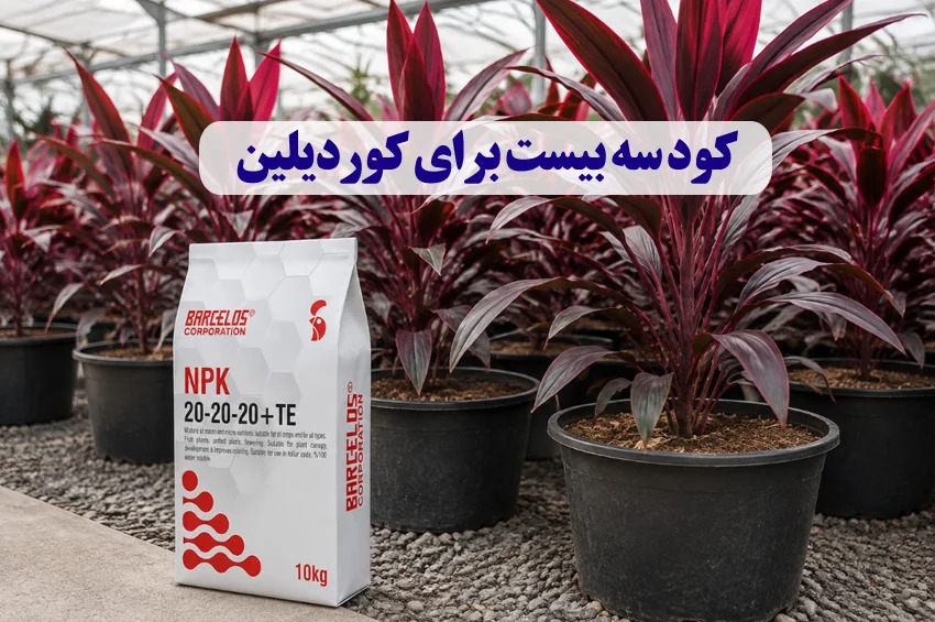 کود سه بیست برای کوردیلین